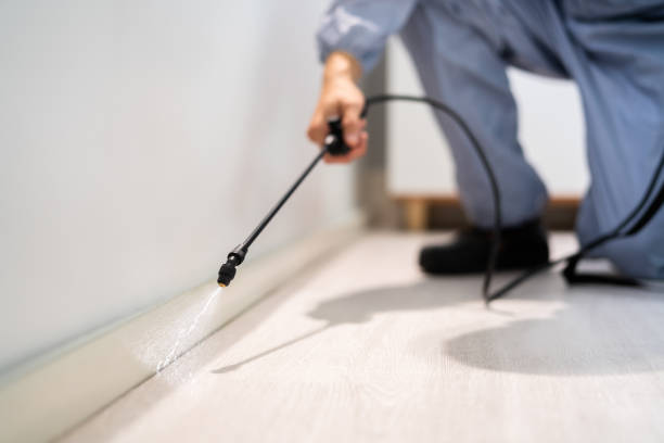 Licensed Termite Control service in Oregon, OH - Nex Pest Control