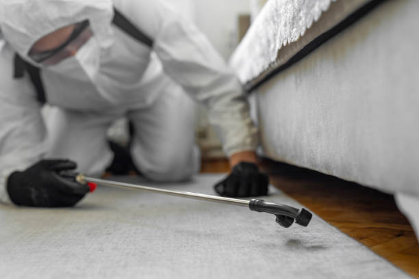 Professional Termite Control technician working in Oregon, OH