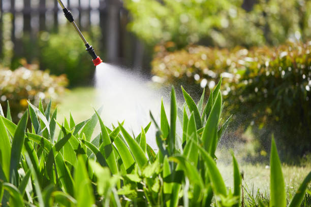 24/7 Emergency Termite Control experts in Oregon, OH