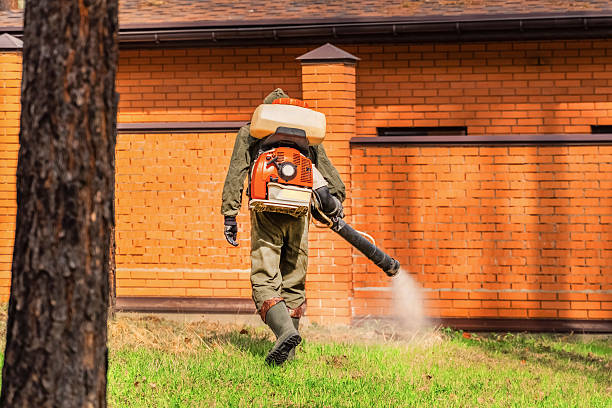 Top rated local Termite Control specialists in Oregon, OH